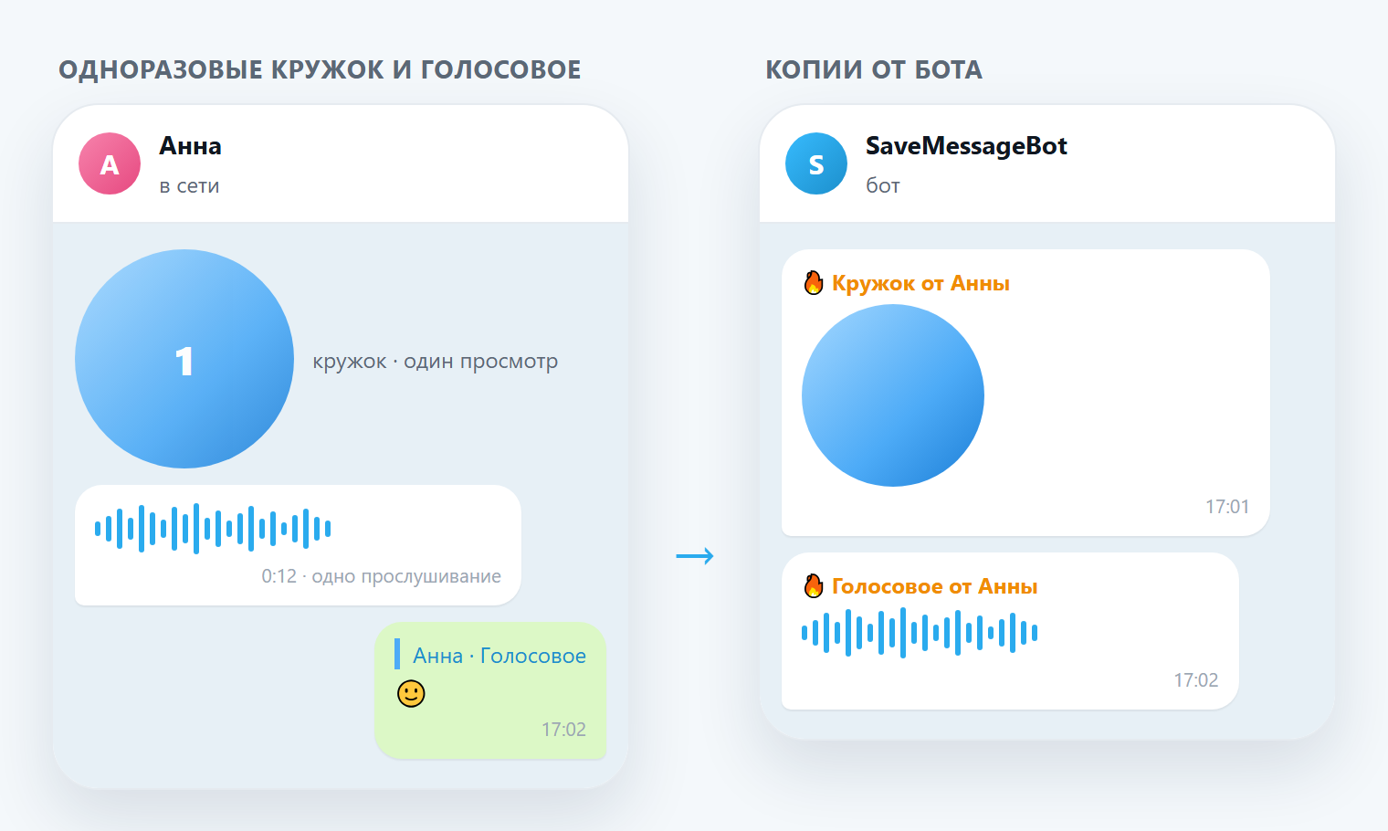 Одноразовые кружок и голосовое в Telegram и их копии от SaveMessageBot